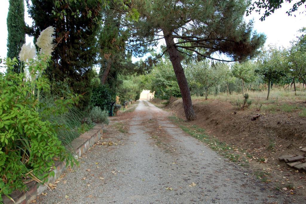 Casa Burraia Villa Abbadia di Montepulciano Camera foto