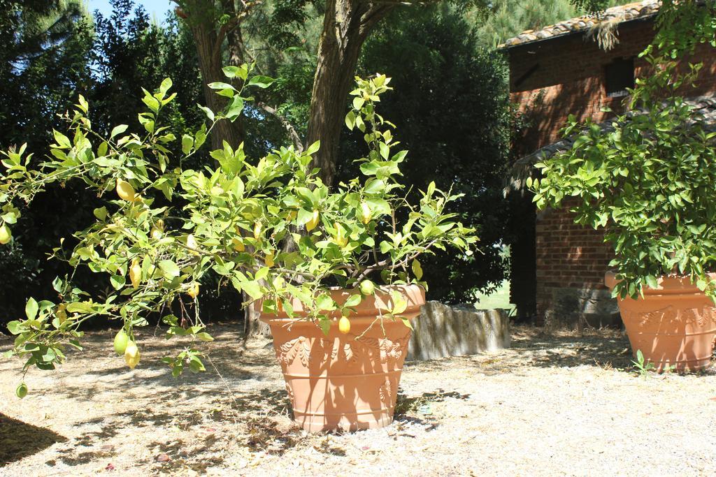 Casa Burraia Villa Abbadia di Montepulciano Esterno foto