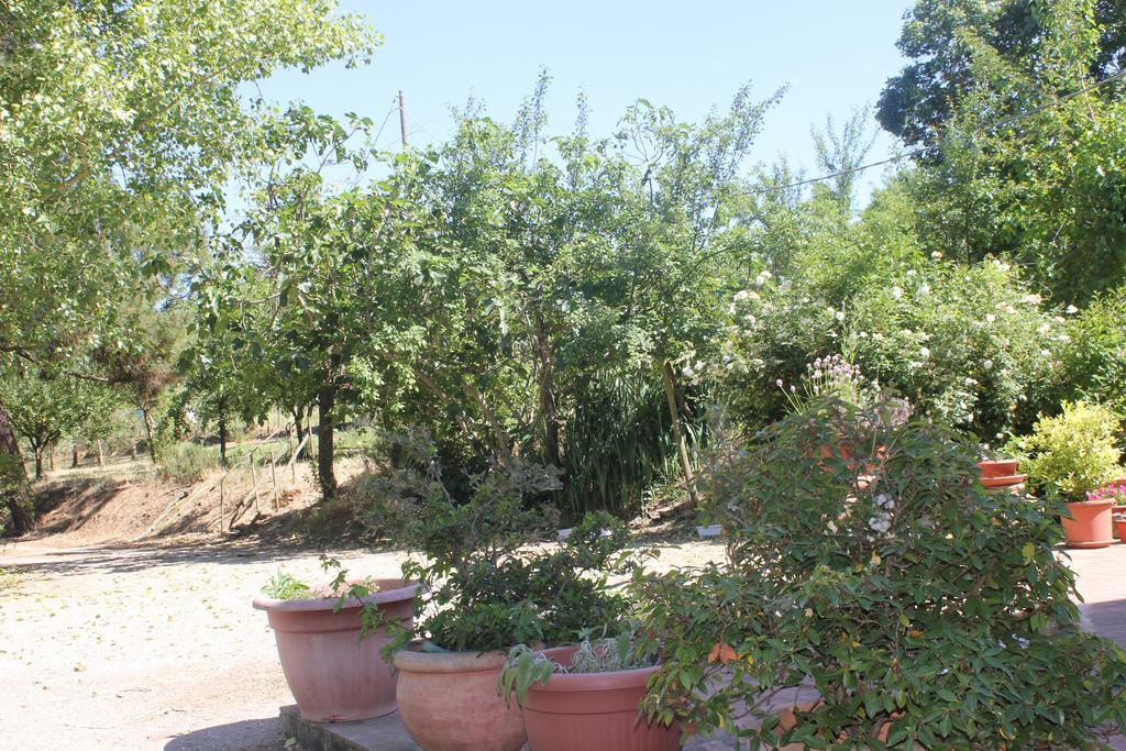 Casa Burraia Villa Abbadia di Montepulciano Esterno foto